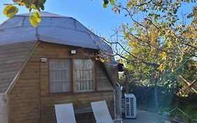 בקתת עץ בחורש במנות - דום גיאודזי - Wooden cabin in Manot