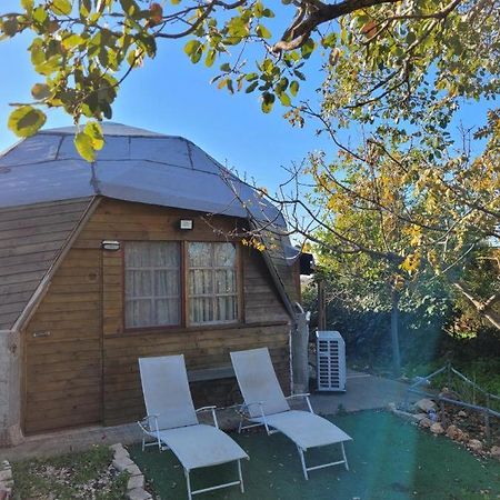 בקתת עץ בחורש במנות - דום גיאודזי - Wooden cabin in מנות מראה חיצוני תמונה