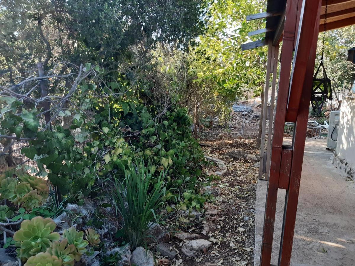 בקתת עץ בחורש במנות - דום גיאודזי - Wooden cabin in מנות מראה חיצוני תמונה