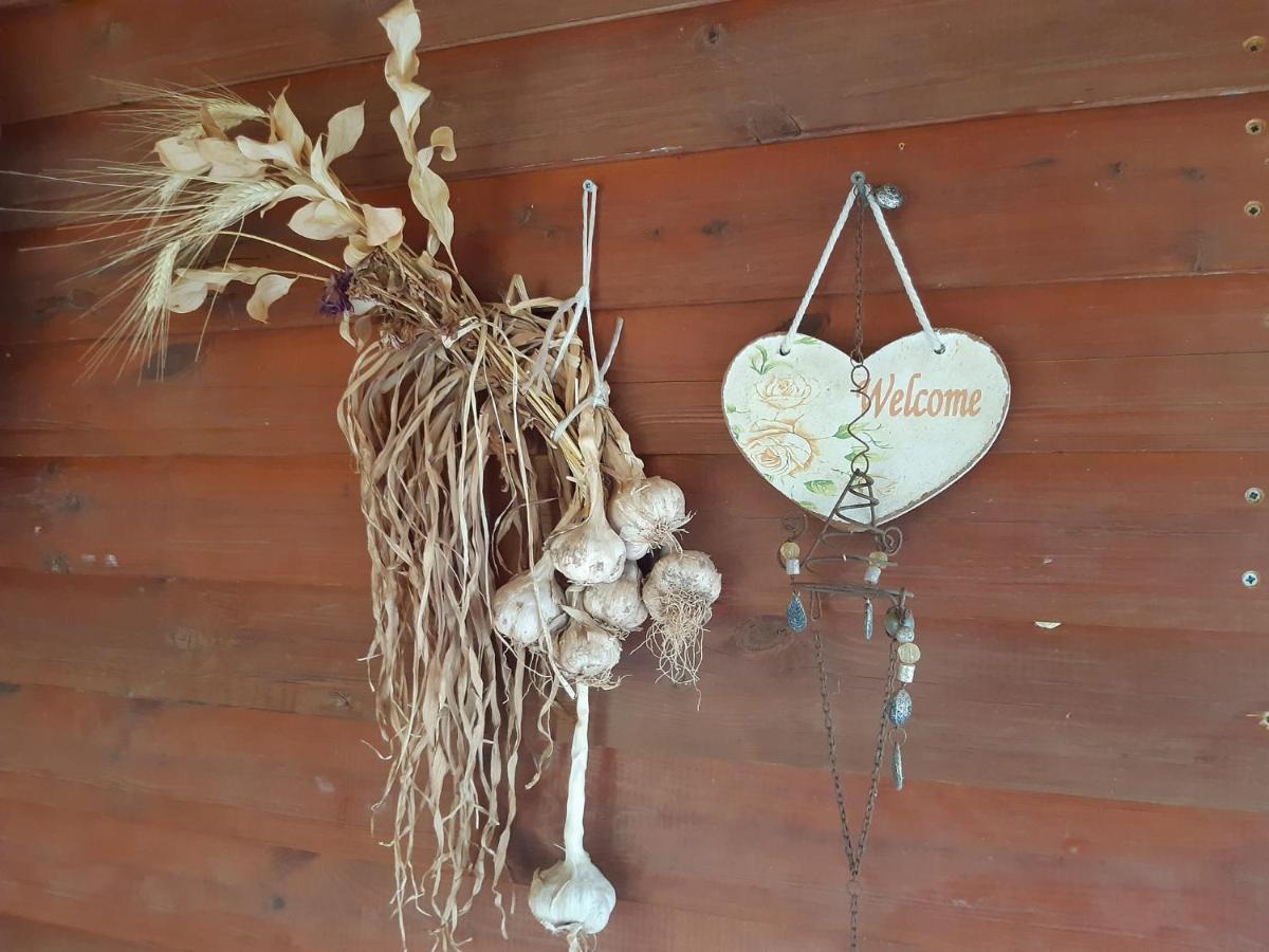 בקתת עץ בחורש במנות - דום גיאודזי - Wooden cabin in מנות מראה חיצוני תמונה