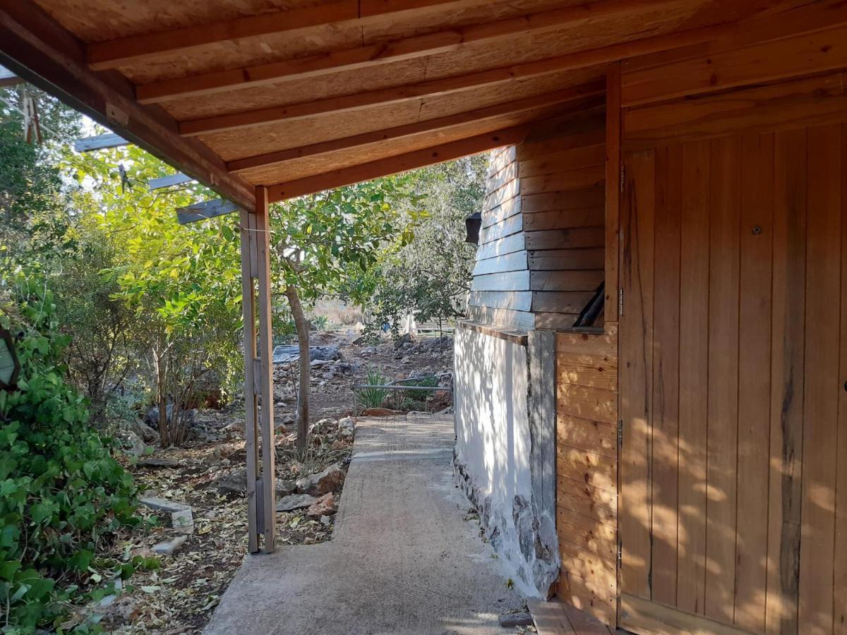 בקתת עץ בחורש במנות - דום גיאודזי - Wooden cabin in מנות מראה חיצוני תמונה