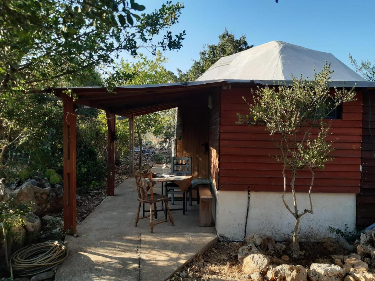 בקתת עץ בחורש במנות - דום גיאודזי - Wooden cabin in מנות מראה חיצוני תמונה