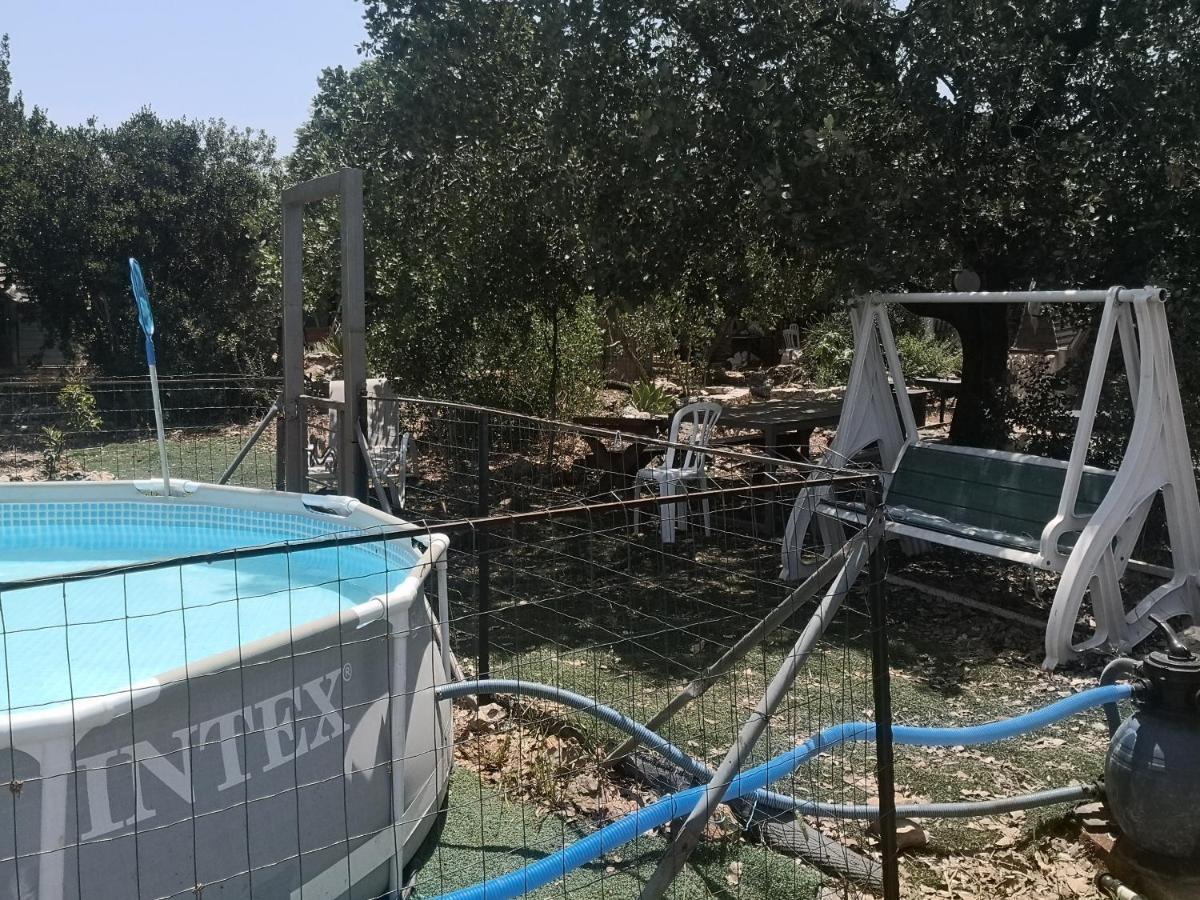 בקתת עץ בחורש במנות - דום גיאודזי - Wooden cabin in מנות מראה חיצוני תמונה