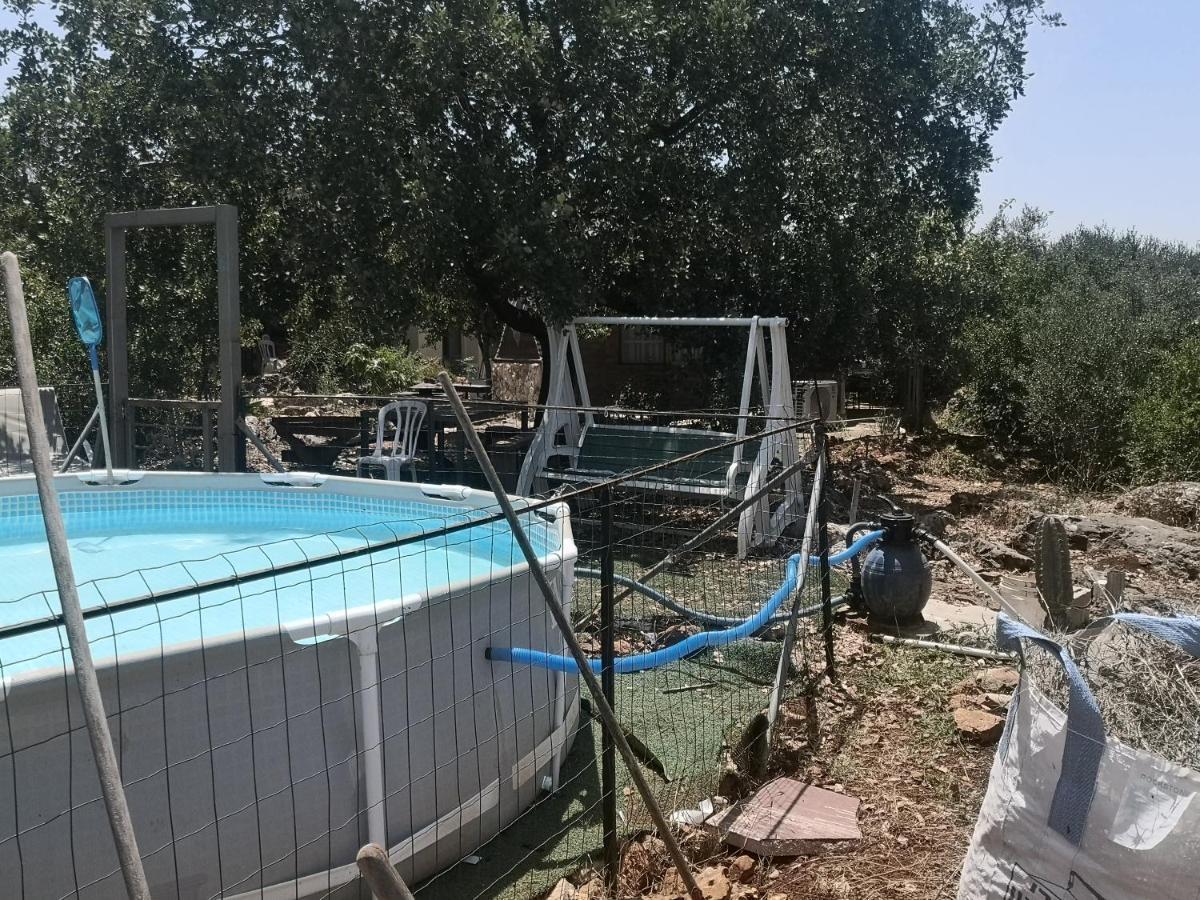 בקתת עץ בחורש במנות - דום גיאודזי - Wooden cabin in מנות מראה חיצוני תמונה