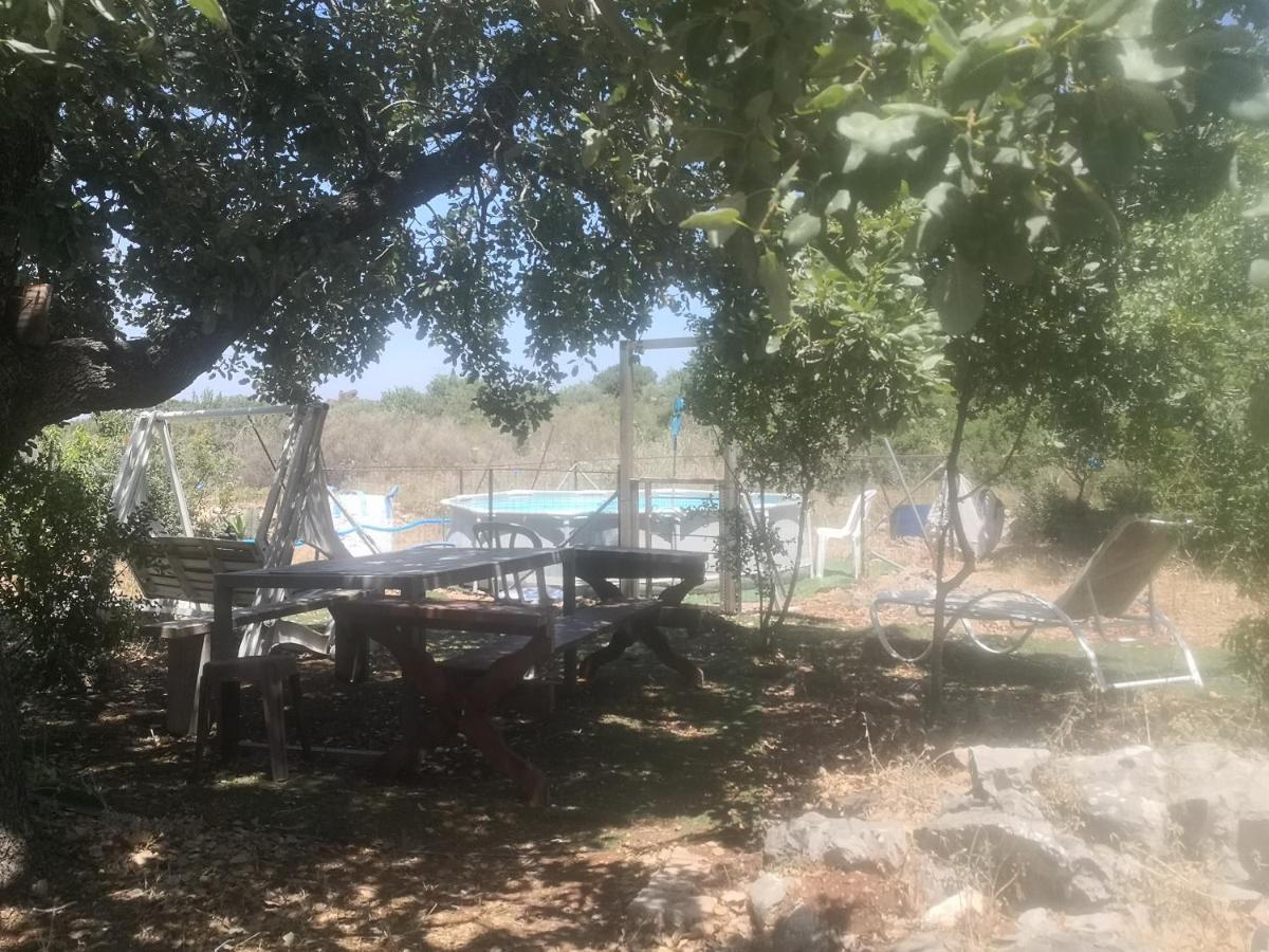 בקתת עץ בחורש במנות - דום גיאודזי - Wooden cabin in מנות מראה חיצוני תמונה