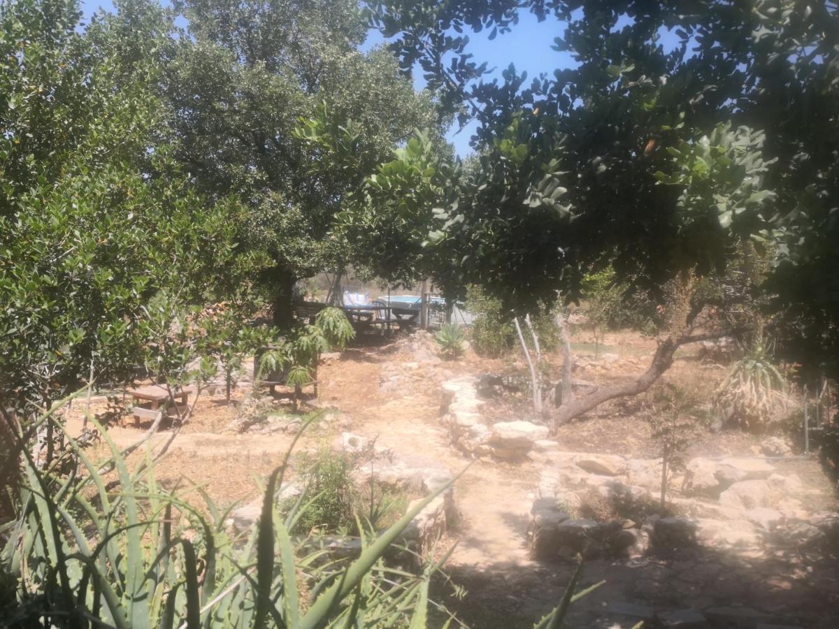 בקתת עץ בחורש במנות - דום גיאודזי - Wooden cabin in מנות מראה חיצוני תמונה