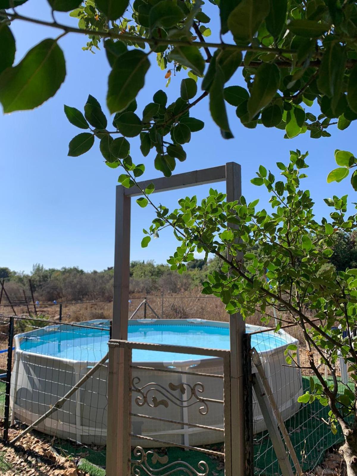 בקתת עץ בחורש במנות - דום גיאודזי - Wooden cabin in מנות מראה חיצוני תמונה