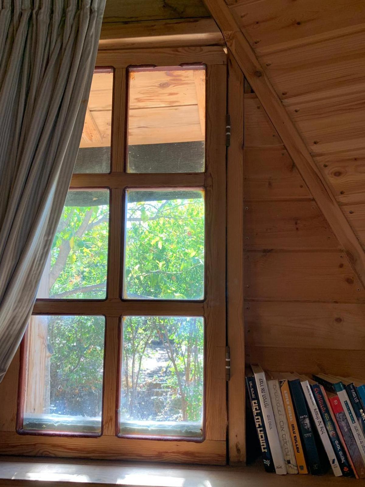 בקתת עץ בחורש במנות - דום גיאודזי - Wooden cabin in מנות מראה חיצוני תמונה