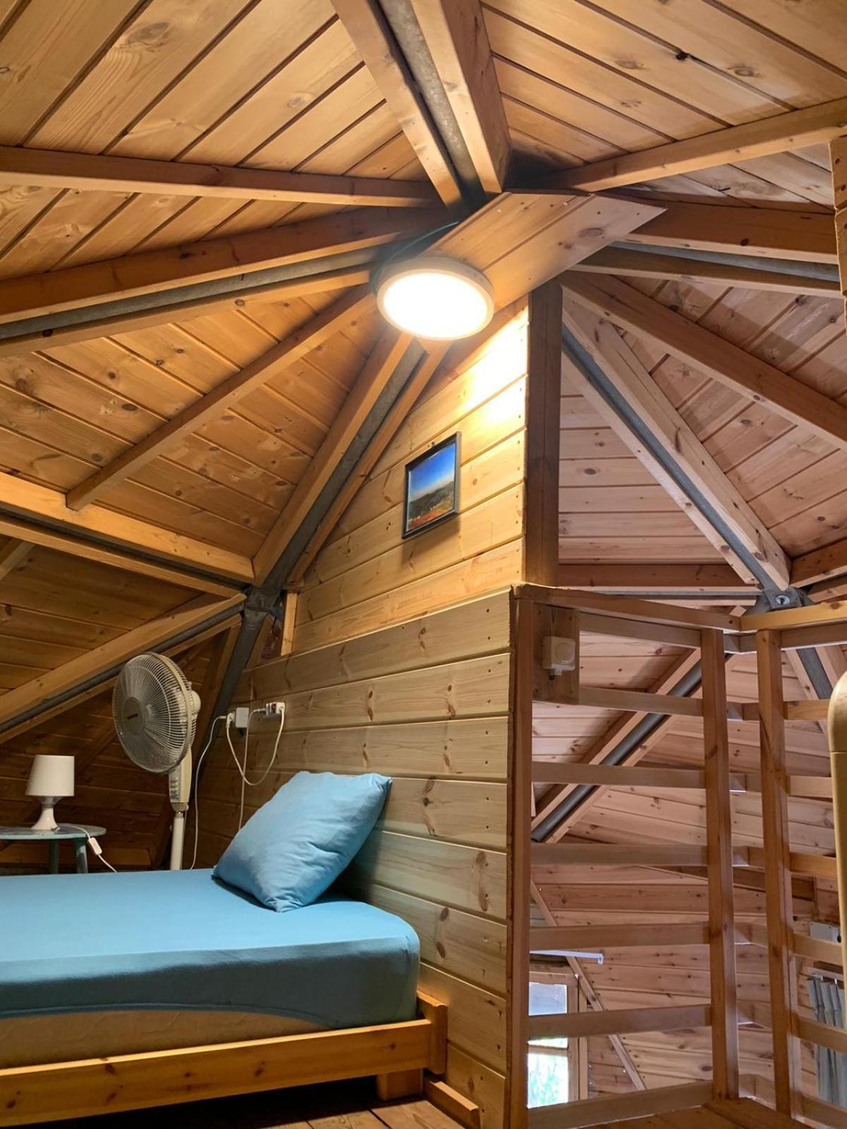 בקתת עץ בחורש במנות - דום גיאודזי - Wooden cabin in מנות מראה חיצוני תמונה