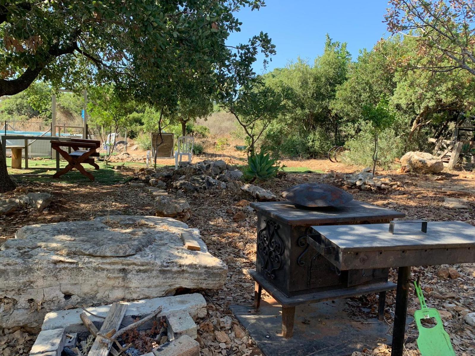 בקתת עץ בחורש במנות - דום גיאודזי - Wooden cabin in מנות מראה חיצוני תמונה