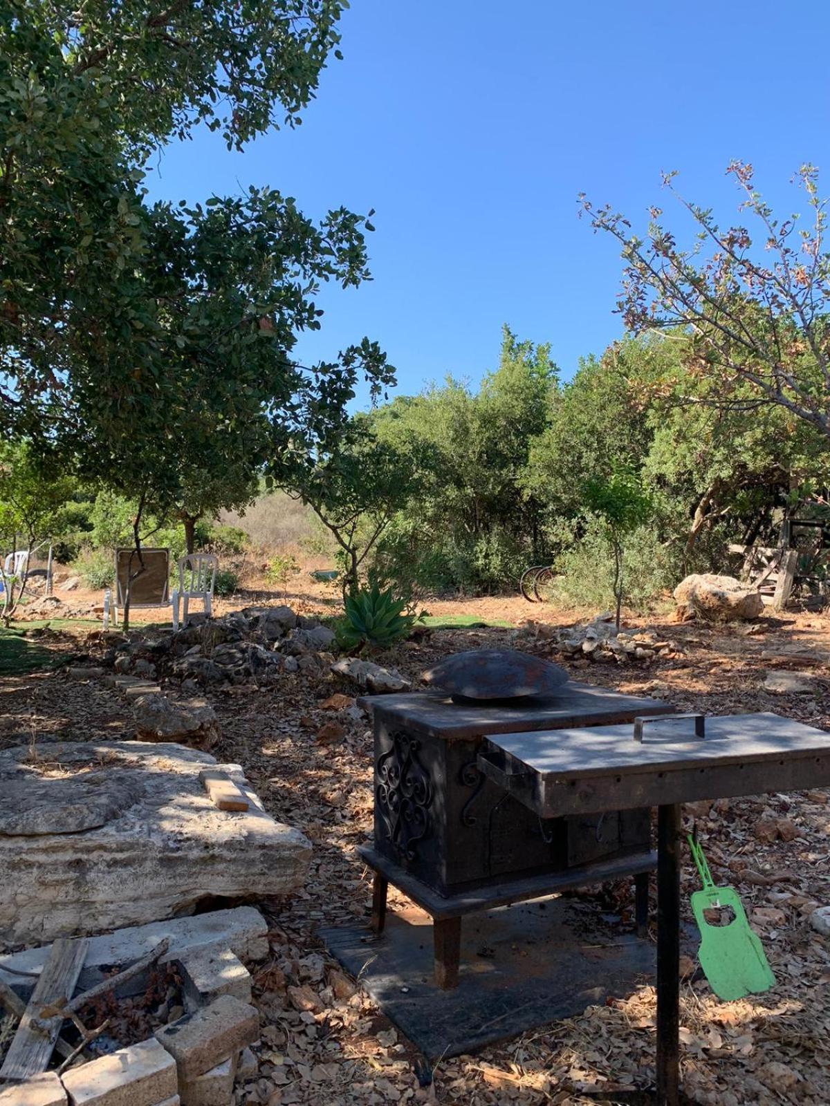 בקתת עץ בחורש במנות - דום גיאודזי - Wooden cabin in מנות מראה חיצוני תמונה